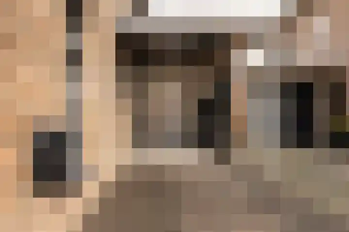 Meester A Datemalaan 37 Kesteren thumbnail 38