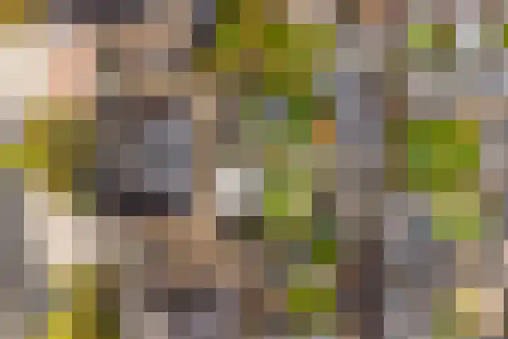 Meester A Datemalaan 37 Kesteren thumbnail 43