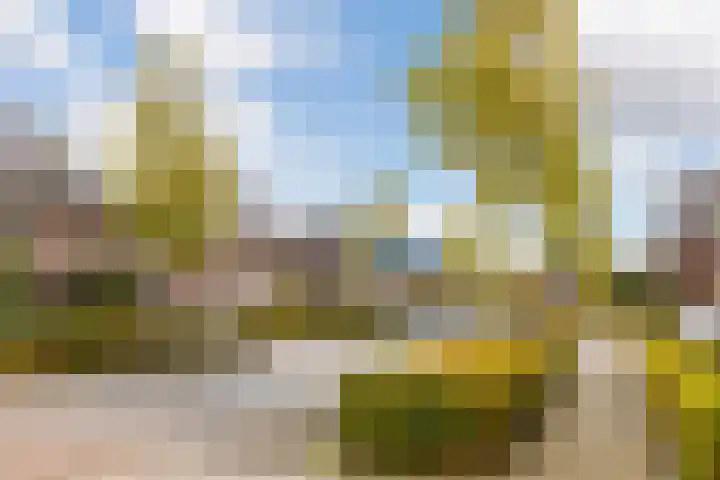 Meester A Datemalaan 37 Kesteren thumbnail 47