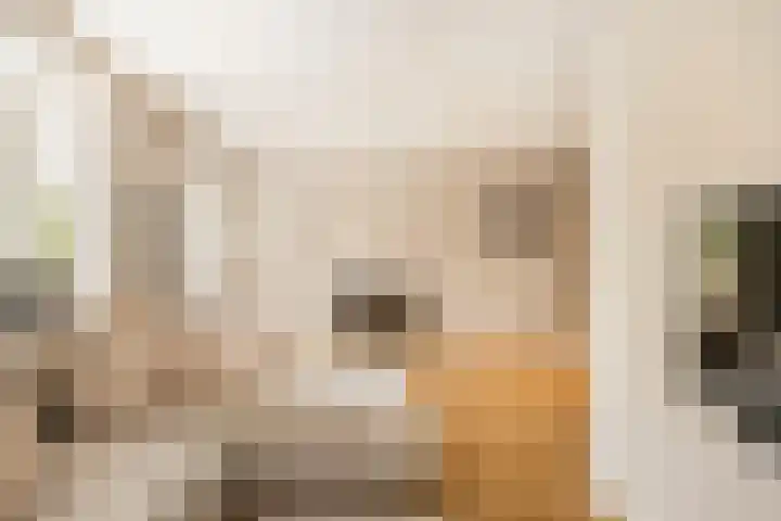 Meester A Datemalaan 37 Kesteren thumbnail 6