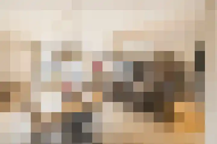 Meester A Datemalaan 37 Kesteren thumbnail 9