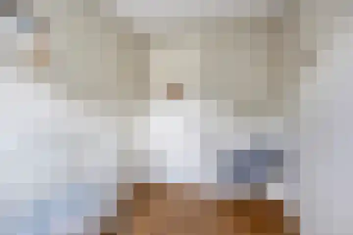 Meester A Datemalaan 45 Kesteren thumbnail 27