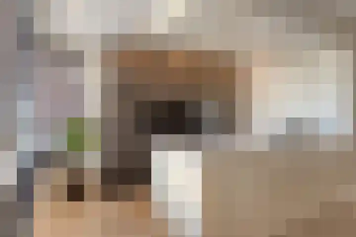 Meester A Datemalaan 48 Kesteren thumbnail 13