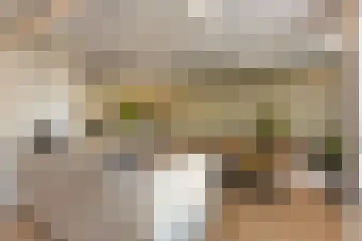 Meester A Datemalaan 48 Kesteren thumbnail 14