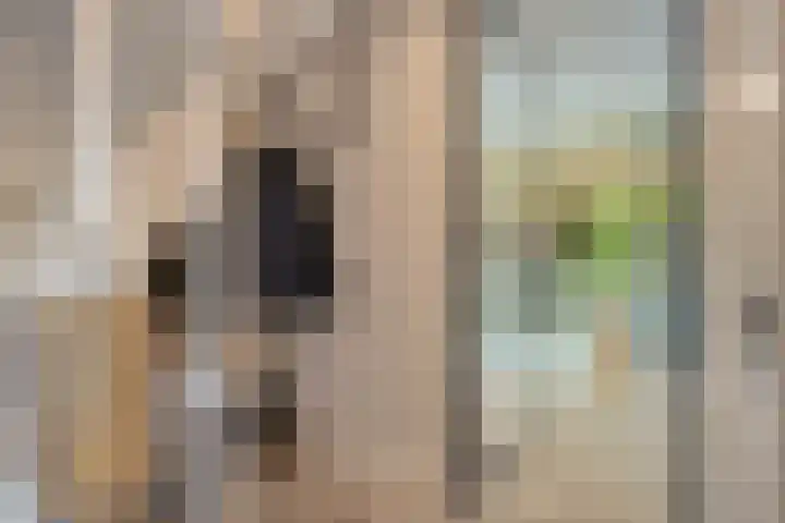 Meester A Datemalaan 48 Kesteren thumbnail 20