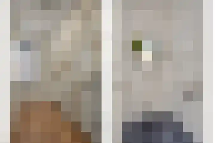 Meester A Datemalaan 48 Kesteren thumbnail 34