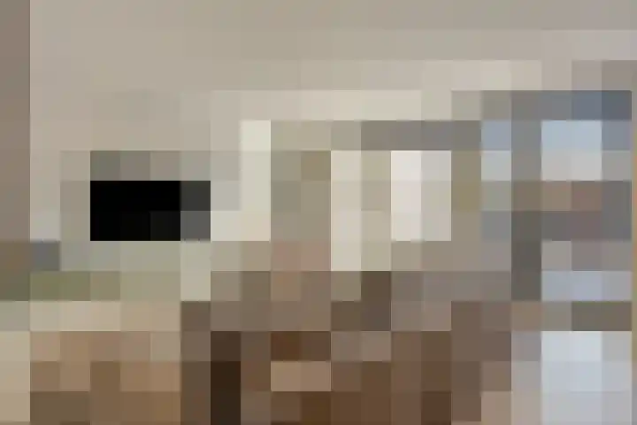 Meester A Datemalaan 48 Kesteren thumbnail 4