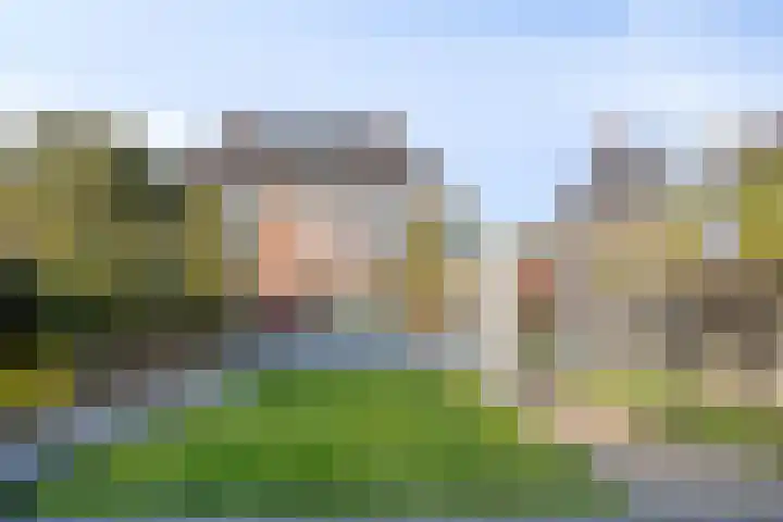 Meester A Datemalaan 48 Kesteren thumbnail 41