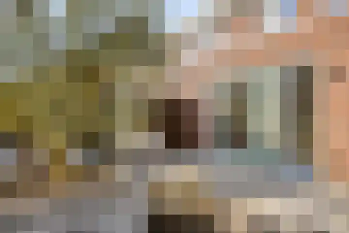 Meester A Datemalaan 48 Kesteren thumbnail 42