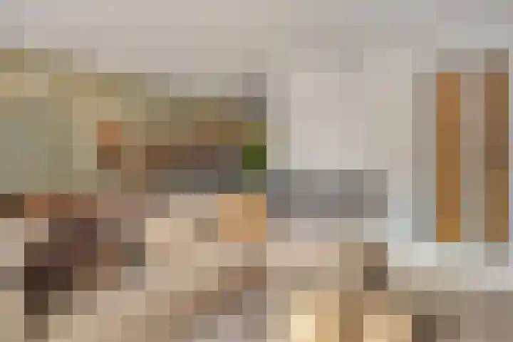Meester A Datemalaan 48 Kesteren thumbnail 6