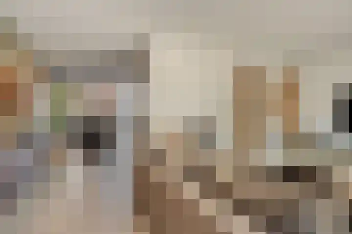 Meester A Datemalaan 48 Kesteren thumbnail 8