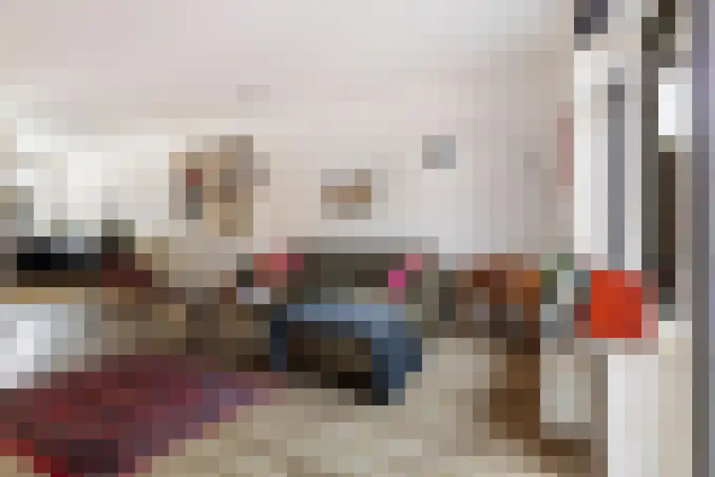 Meester Ansinkweg 3 Austerlitz thumbnail 18