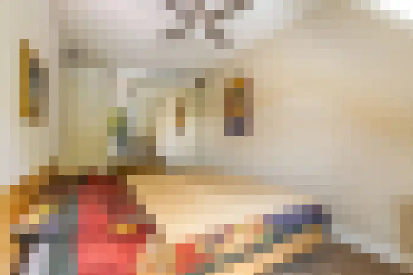 Meester Ansinkweg 3 Austerlitz thumbnail 31