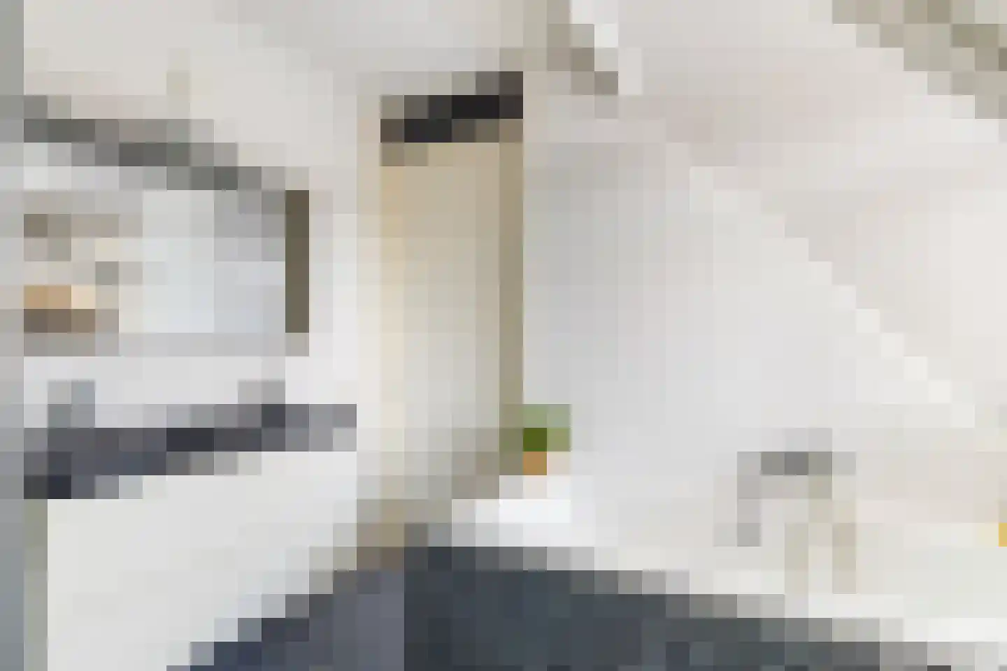 Meester Ansinkweg 3 Austerlitz thumbnail 33