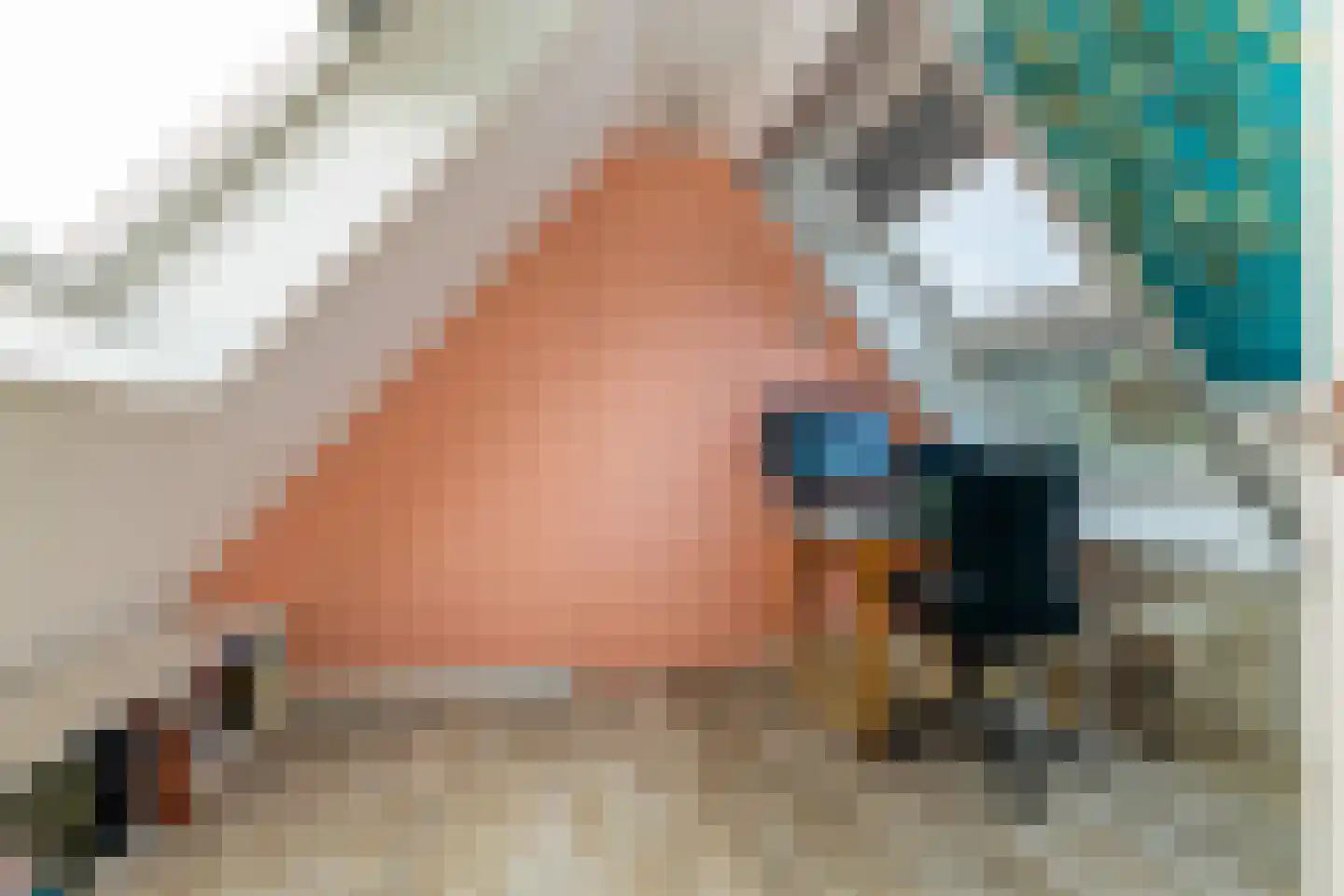 Meester Ansinkweg 3 Austerlitz thumbnail 36