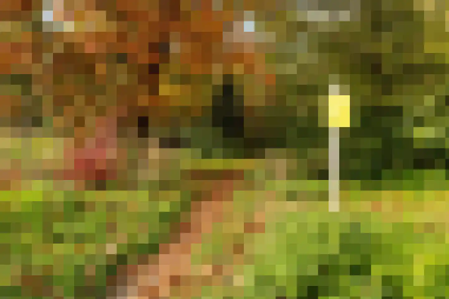 Meester Ansinkweg 3 Austerlitz thumbnail 40