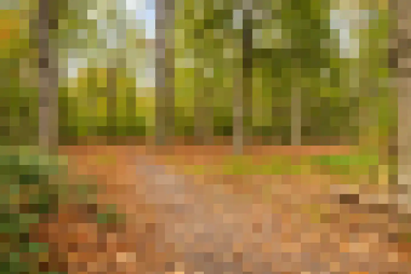Meester Ansinkweg 3 Austerlitz thumbnail 41