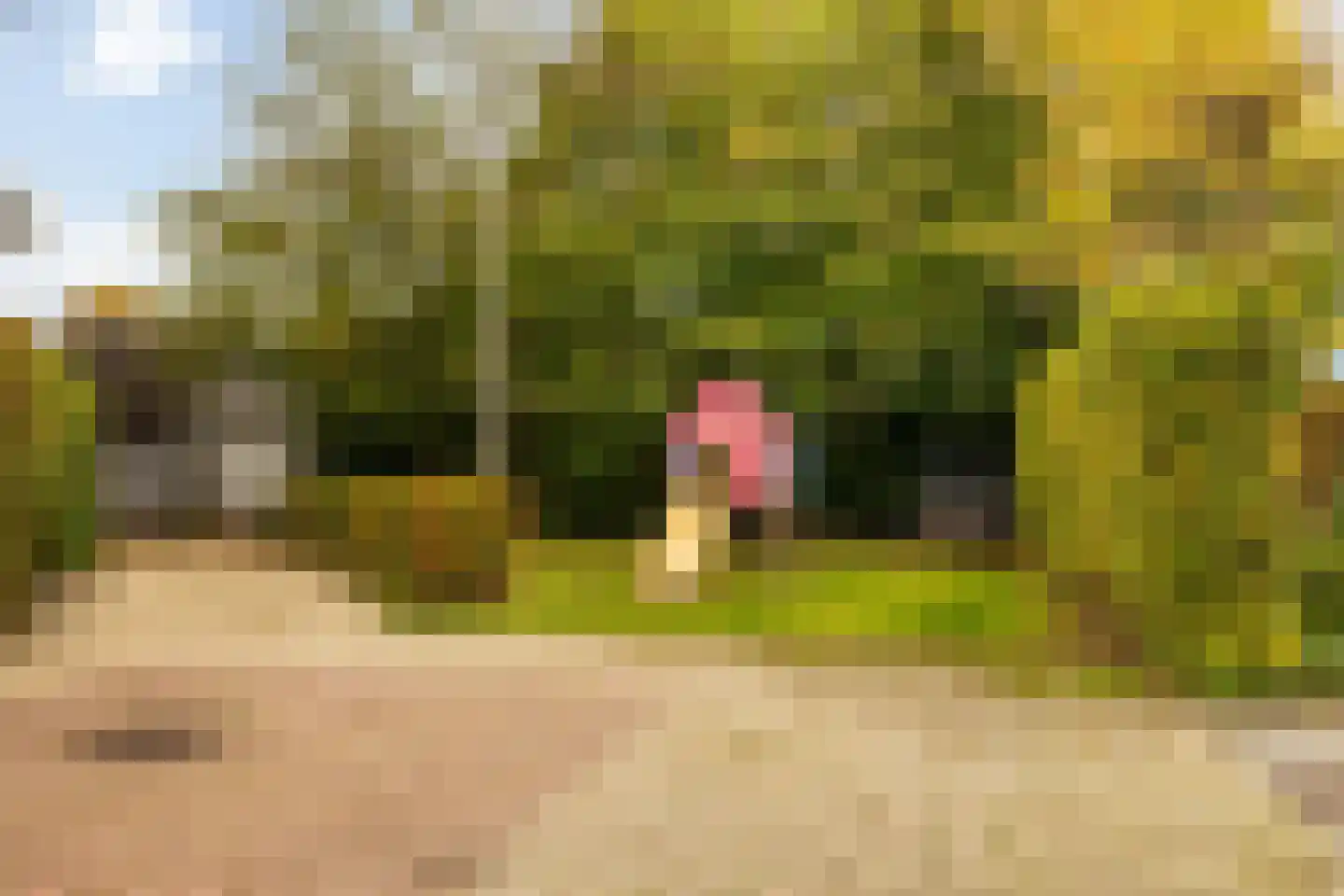 Meester Ansinkweg 3 Austerlitz thumbnail 42