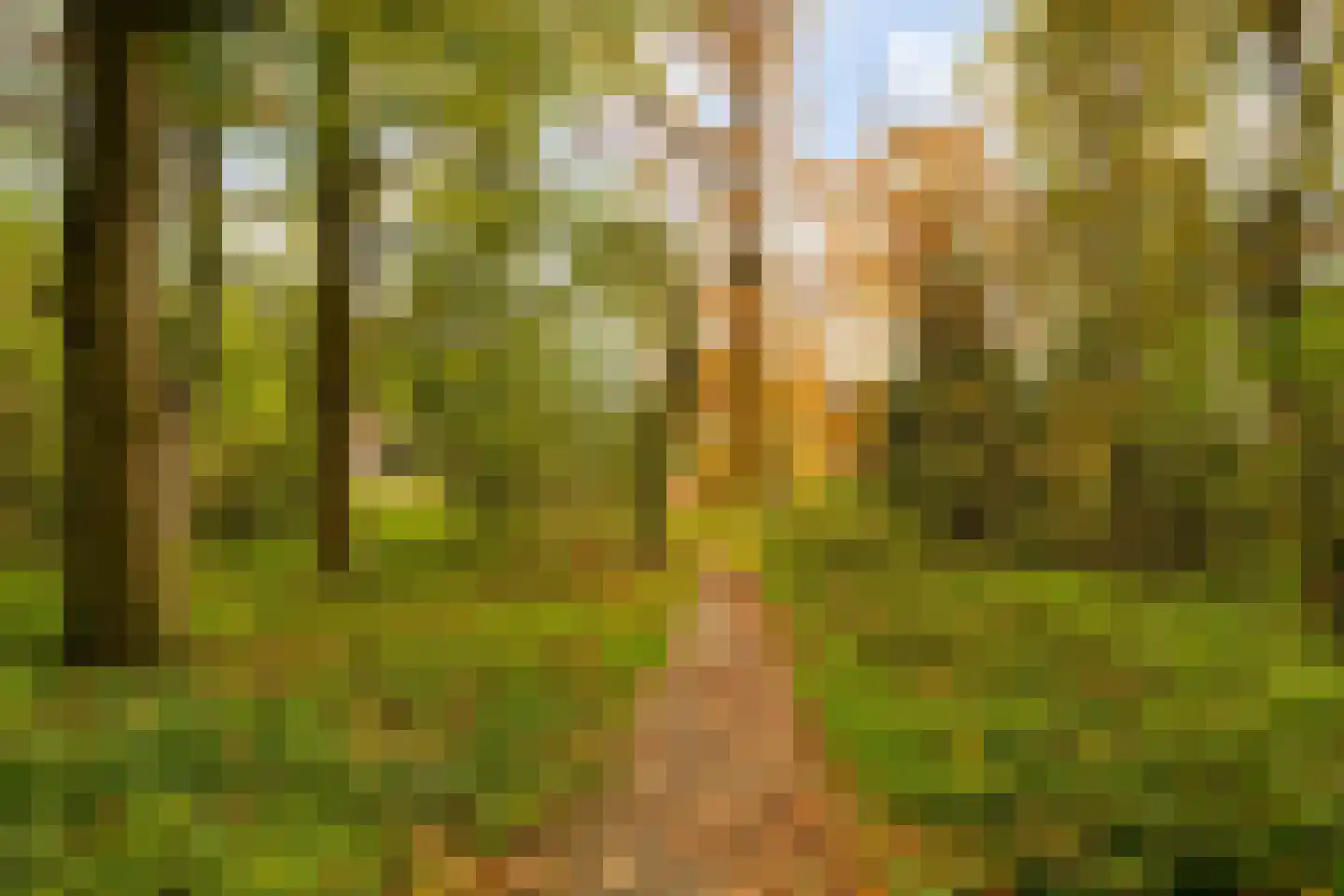 Meester Ansinkweg 3 Austerlitz thumbnail 6