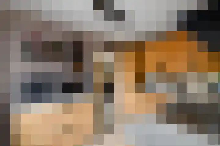 Meester Baasstraat 16 De Blesse thumbnail 11