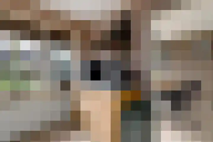 Meester Baasstraat 16 De Blesse thumbnail 14