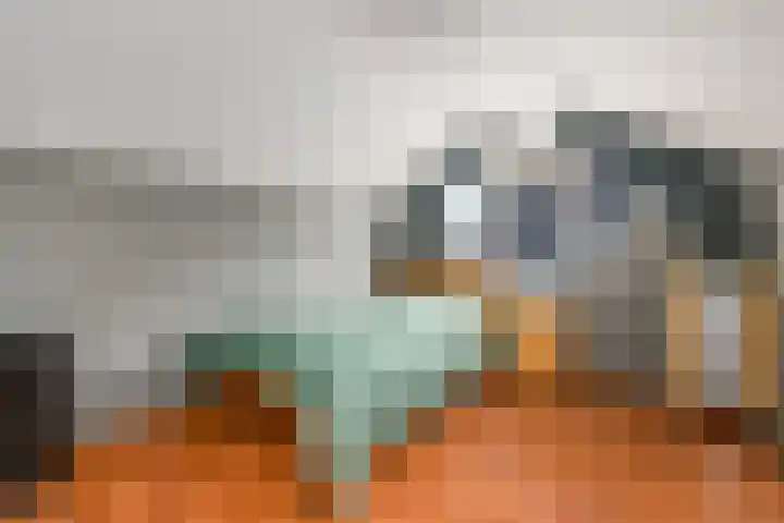 Meester Baasstraat 16 De Blesse thumbnail 22