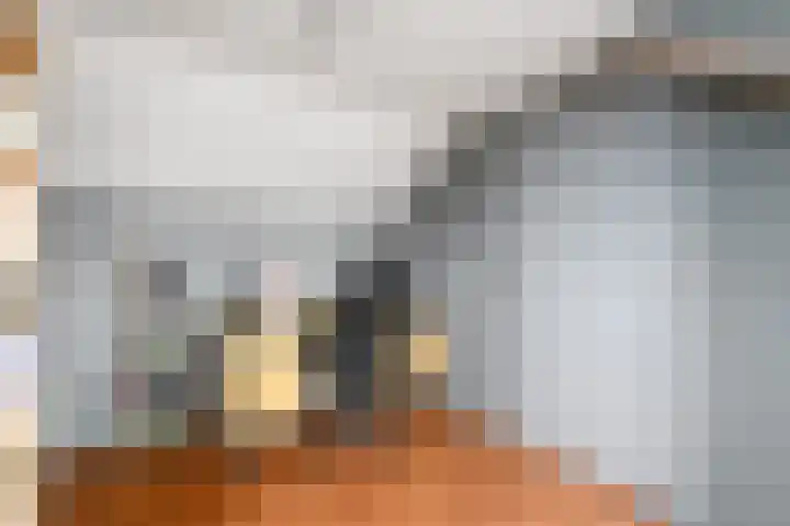 Meester Baasstraat 16 De Blesse thumbnail 27
