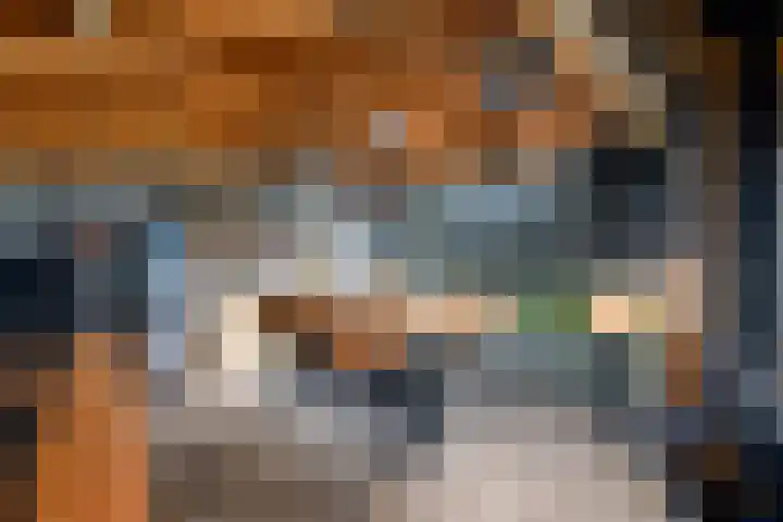 Meester Baasstraat 16 De Blesse thumbnail 36