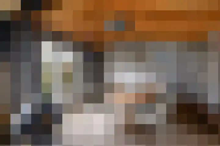 Meester Baasstraat 16 De Blesse thumbnail 37