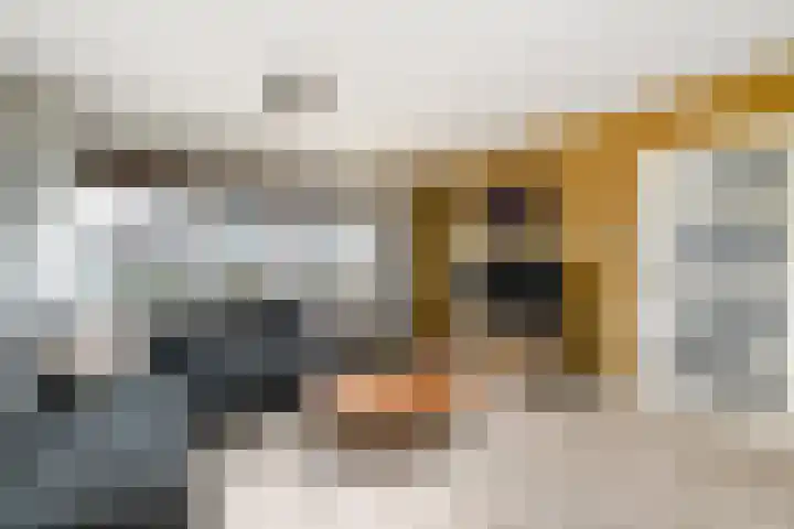 Meester Baasstraat 16 De Blesse thumbnail 4