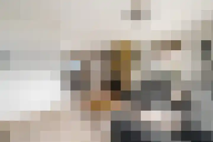 Meester Baasstraat 16 De Blesse thumbnail 6