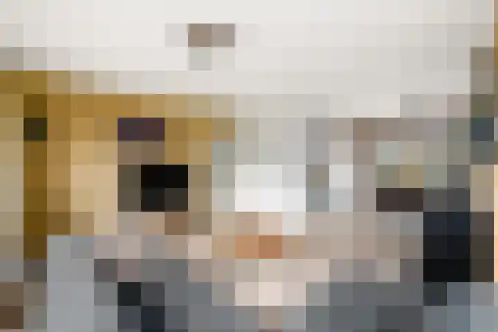 Meester Baasstraat 16 De Blesse thumbnail 7
