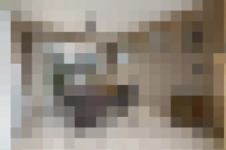 Meester Baasstraat 16 De Blesse thumbnail 8