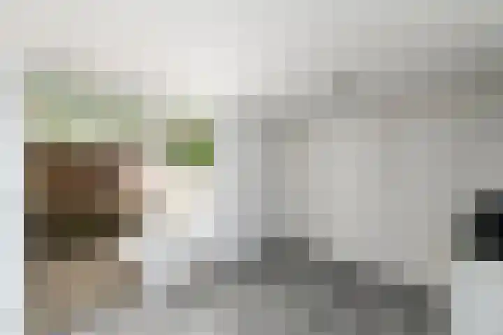 Meester Baasstraat 6 De Blesse thumbnail 13