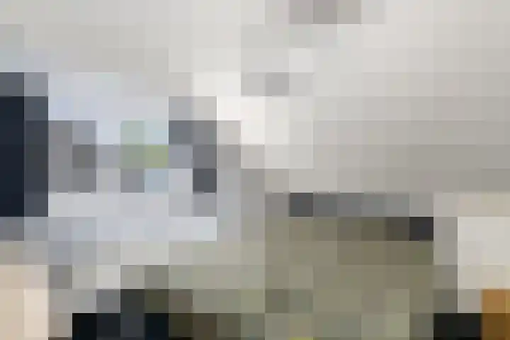 Meester Baasstraat 6 De Blesse thumbnail 18