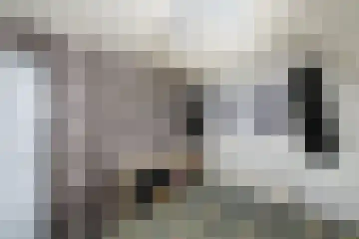 Meester Baasstraat 6 De Blesse thumbnail 19