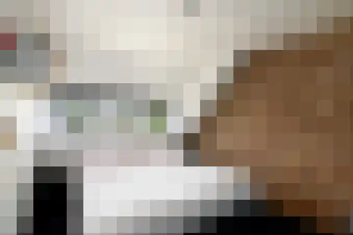 Meester Baasstraat 6 De Blesse thumbnail 21