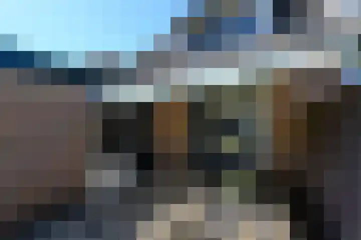 Meester Baasstraat 6 De Blesse thumbnail 34
