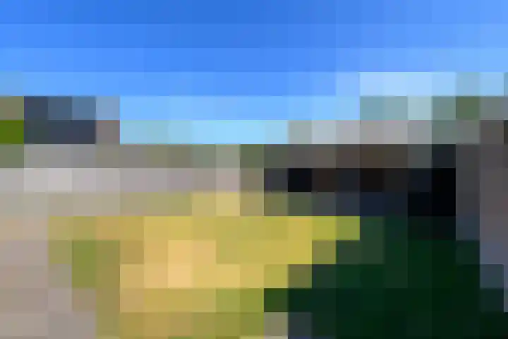 Meester Baasstraat 6 De Blesse thumbnail 35