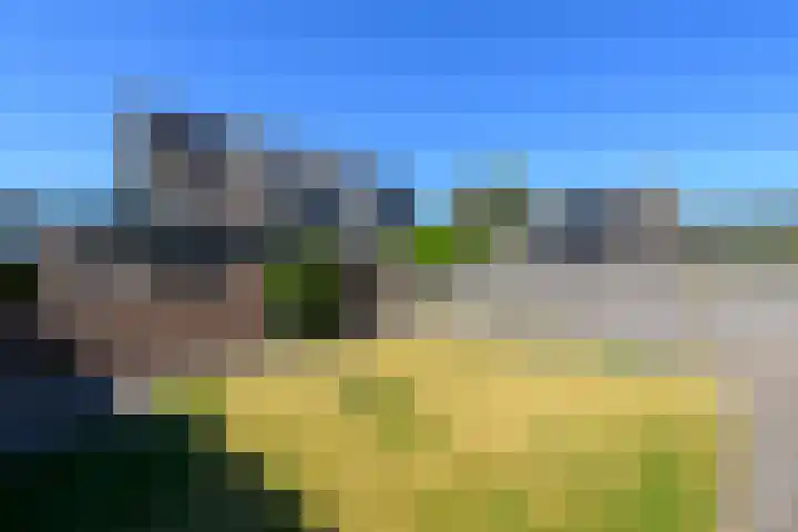 Meester Baasstraat 6 De Blesse thumbnail 36