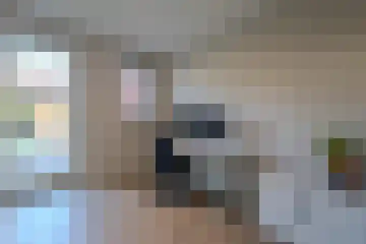 Meester Bakxstraat 12 Oirschot thumbnail 19