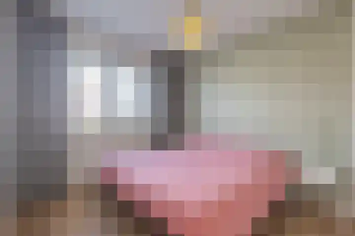 Meester Bakxstraat 12 Oirschot thumbnail 21