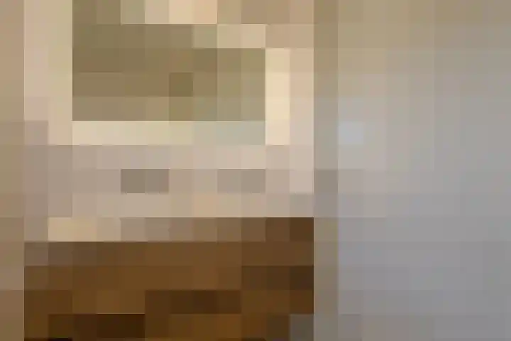 Meester Bakxstraat 12 Oirschot thumbnail 29