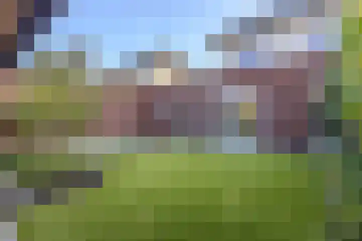 Meester Bakxstraat 12 Oirschot thumbnail 33