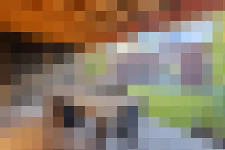 Meester Bakxstraat 12 Oirschot thumbnail 36