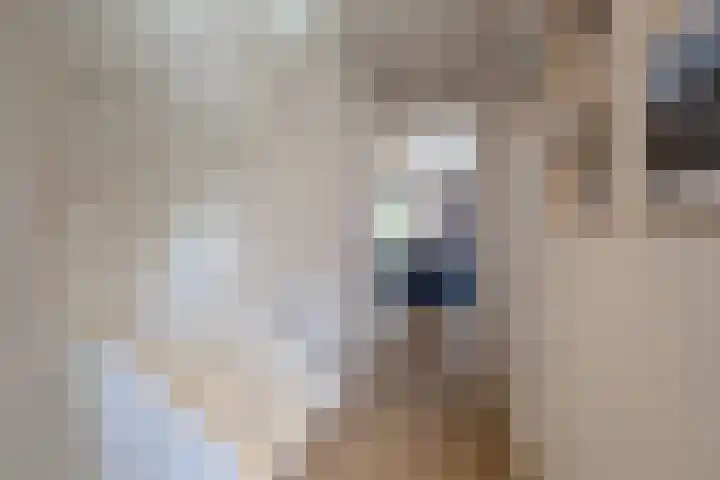 Meester Bakxstraat 12 Oirschot thumbnail 8
