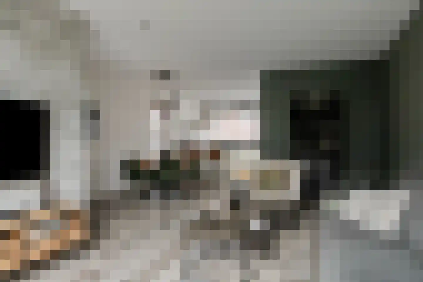 Meester Bakxstraat 14 Oirschot thumbnail 11