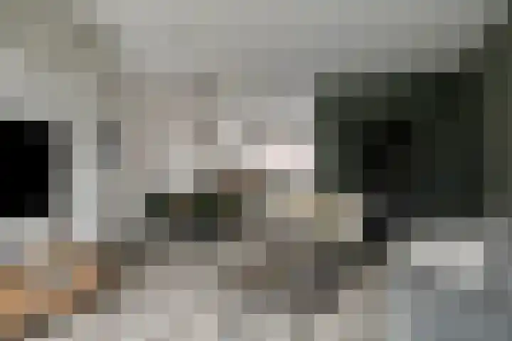 Meester Bakxstraat 14 Oirschot thumbnail 11