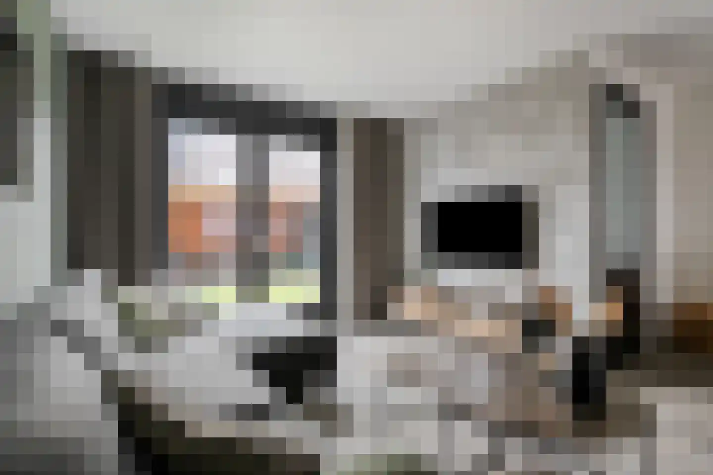 Meester Bakxstraat 14 Oirschot thumbnail 12