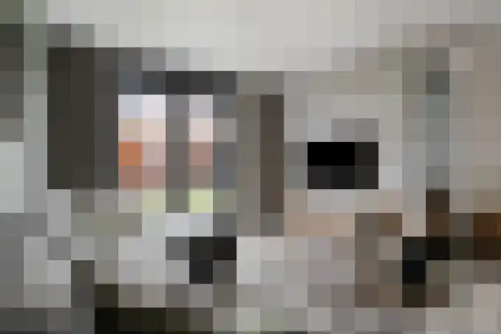 Meester Bakxstraat 14 Oirschot thumbnail 12